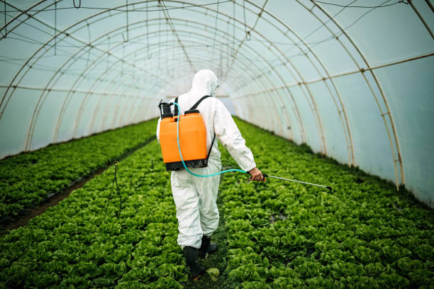 Best Affordable Pest Control Services  in , NM