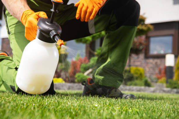 Best Termite Control Services  in , NM