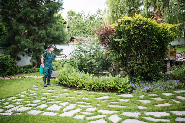Best Mosquito Control Services  in , NM