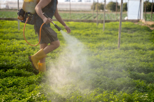 Best Pest Control Near Me  in , NM