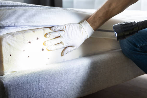 Best Pest Control for Restaurants  in , NM