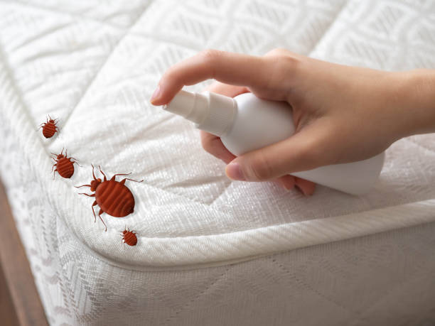 Best Commercial Pest Control Services  in , NM
