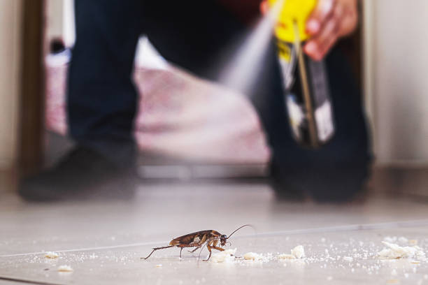 Best Emergency Pest Control  in , NM