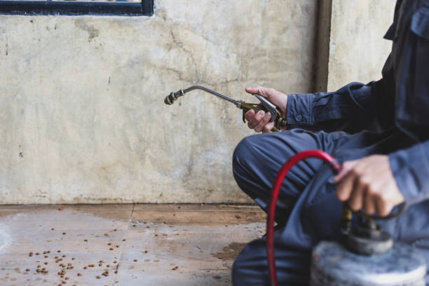 Best Residential Pest Control  in , NM