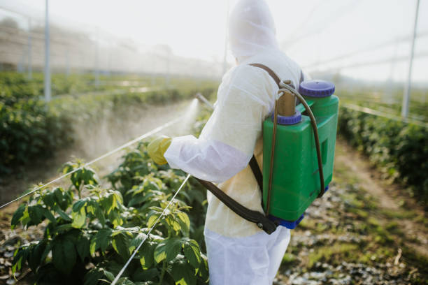 Best Pest Removal Services  in , NM